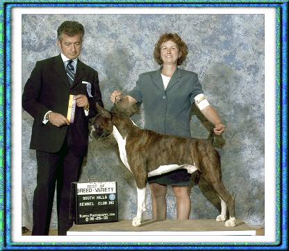 Cisco - winning Best of Breed under Manilio Massa of Italy