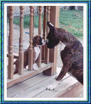 Lita touching her half brother Austin's nose