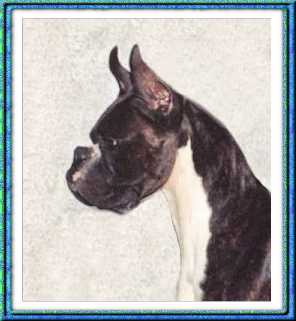 Manny's profile