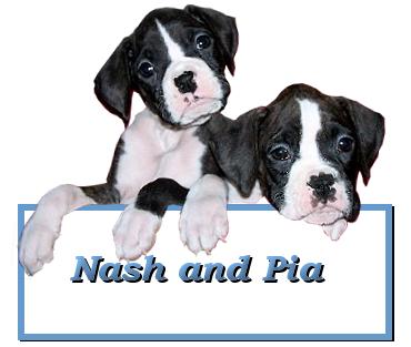 Nash and Pia