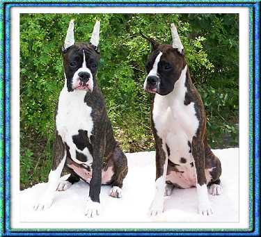 Nash and Pia at 6 months