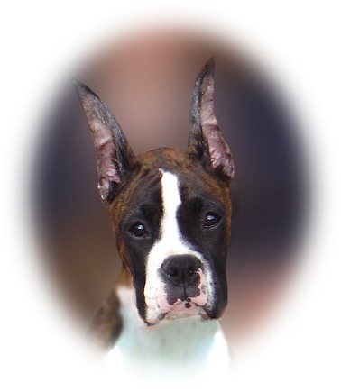 Pia at 4 months