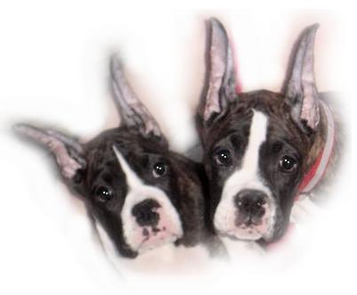Pia and Nash at 15 weeks