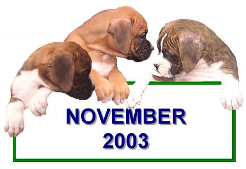 Litter born November 2003 at 6 weeks