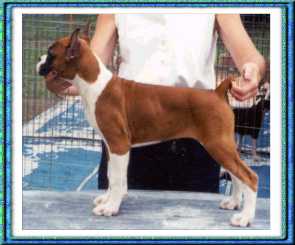 Shania at 14 weeks of age