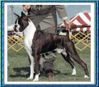 Trina's sire